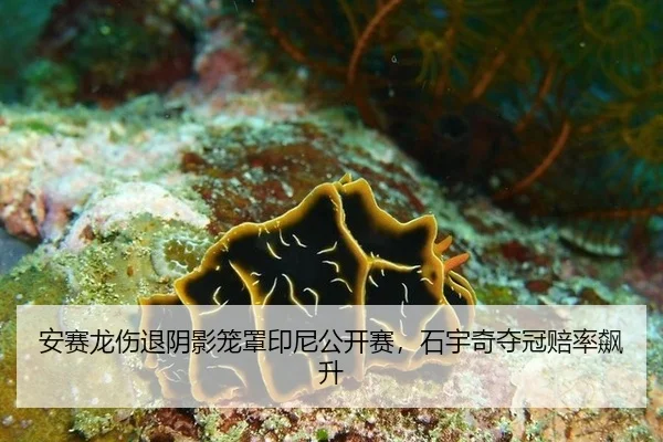 an-sai-long-shang-tui-yin-ying-long-zhao-yin-ni-gong-kai-sai-shi-yu-qi-duo-guan-pei-lv-biao-sheng-2-532.jpg
