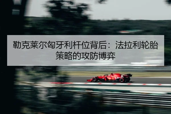 lei-ke-lai-er-xiong-ya-li-gan-wei-bei-hou-fa-la-li-lun-tai-ce-lve-de-gong-fang-bo-yi-2-998.jpg