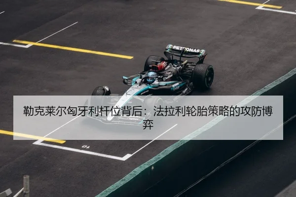 lei-ke-lai-er-xiong-ya-li-gan-wei-bei-hou-fa-la-li-lun-tai-ce-lve-de-gong-fang-bo-yi-3-325.jpg