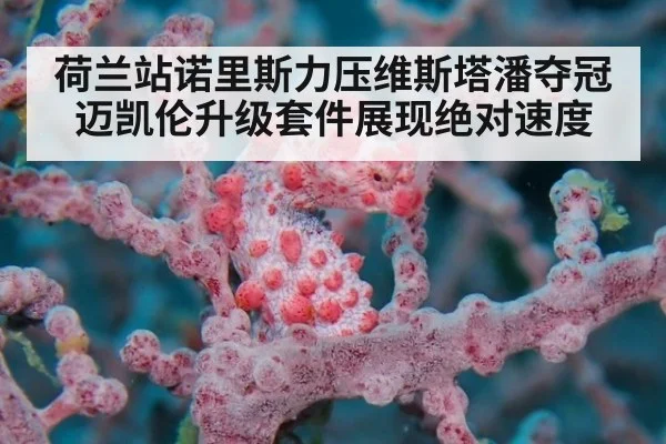 荷兰站诺里斯力压维斯塔潘夺冠 迈凯伦升级套件展现绝对速度